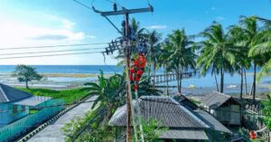 IMG-20240524-WA0118