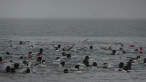 IMG-20240610-WA0103