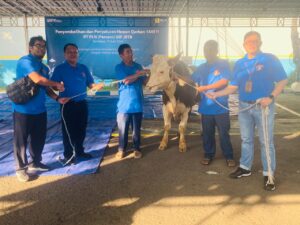 Serah terima hewan qurban secara simbolis dari pegawai Senior Manager Perencanaan selaku Plh General Manager PT PLN (Persero) UIP JBTB I Wayan Semudiarsa di dampingi Tri Laksono (Senior Manager Keuangan, Anggaran dan Umum) kepada panitia Qurban