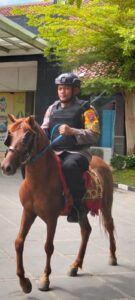 IMG-20241022-WA0069