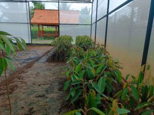 IMG-20241231-WA0201