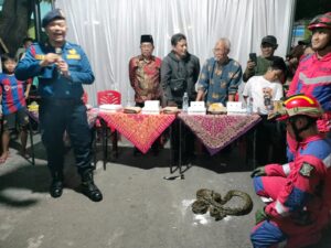 IMG-20250212-WA0028